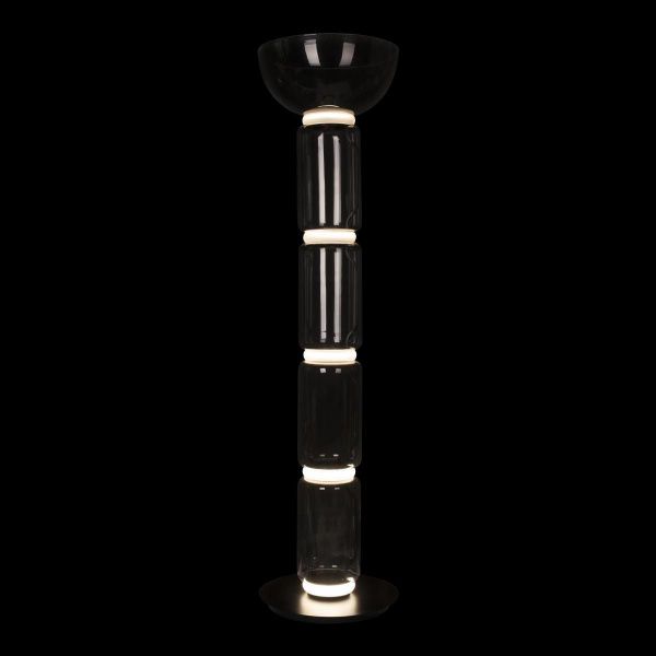 Торшер светодиодный Loft IT Noctambule 10192F/L