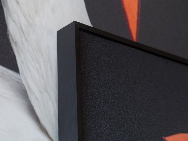 Картина Lumina Deco FP Hermes Swan 80-120